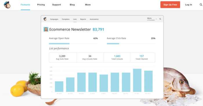 Apps to improve productivity Mailchimp